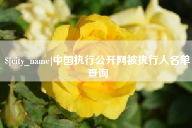 南安中国执行公开网被执行人名单查询