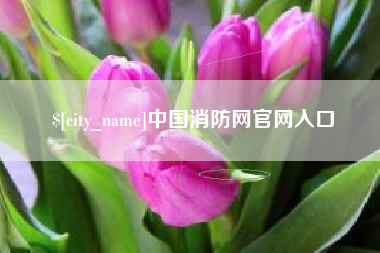南安中国消防网官网入口
