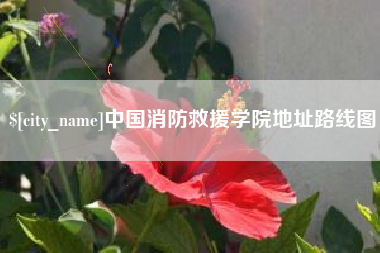 南安中国消防救援学院地址路线图
