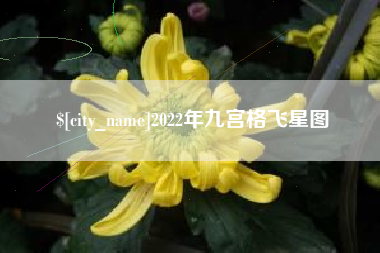 南安2022年九宫格飞星图