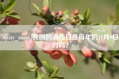 南安我国的消防日是每年的11月9日对吗？