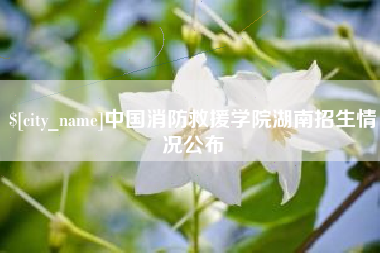 南安中国消防救援学院湖南招生情况公布