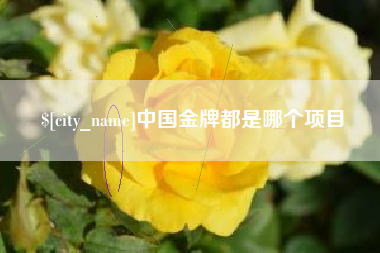 南安中国金牌都是哪个项目