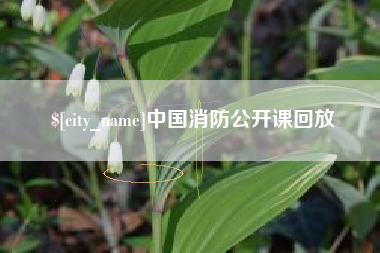 南安中国消防公开课回放