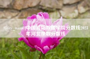 南安中国消防救援学院分数线2023年河北录取分数线