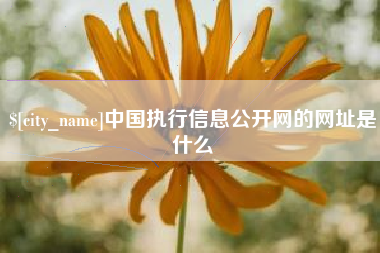 南安中国执行信息公开网的网址是什么
