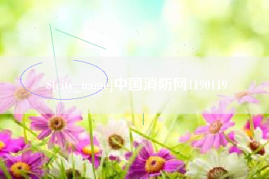 南安中国消防网1190119