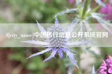 南安中国执行信息公开系统官网
