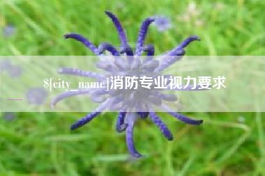 南安消防专业视力要求