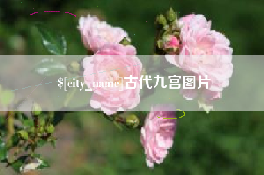 南安古代九宫图片