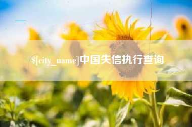 南安中国失信执行查询
