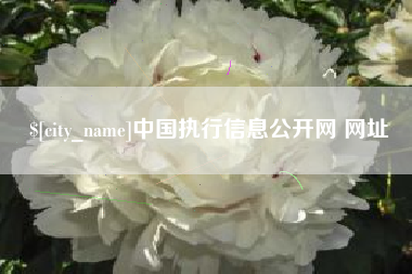南安中国执行信息公开网 网址