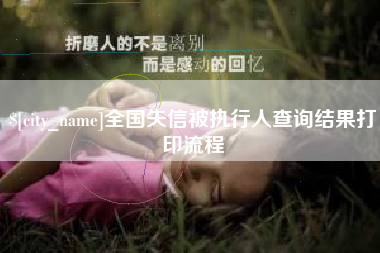 南安全国失信被执行人查询结果打印流程