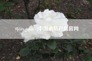 南安中国消防产品官网
