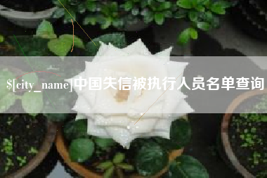 南安中国失信被执行人员名单查询