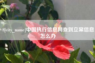 南安中国执行信息网查到立案信息怎么办