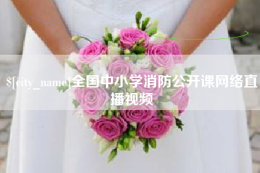 南安全国中小学消防公开课网络直播视频