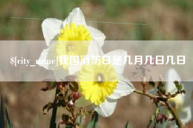 南安我国消防日是几月几日几日