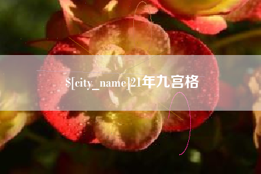 南安21年九宫格