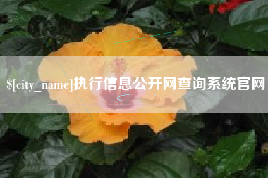 南安执行信息公开网查询系统官网