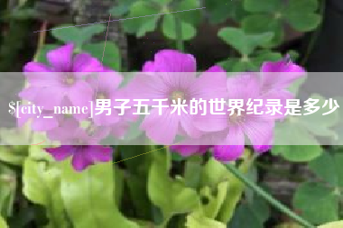 南安男子五千米的世界纪录是多少