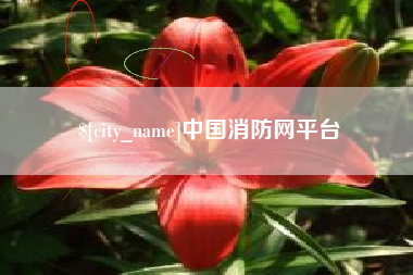 南安中国消防网平台