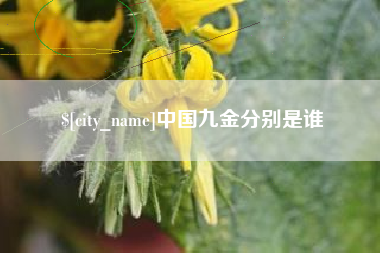 南安中国九金分别是谁