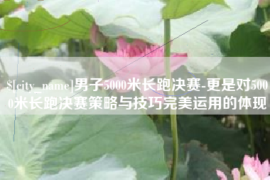南安男子5000米长跑决赛-更是对5000米长跑决赛策略与技巧完美运用的体现