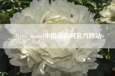 南安中国消防网官方网站