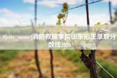 南安消防救援学院山东招生录取分数线2020