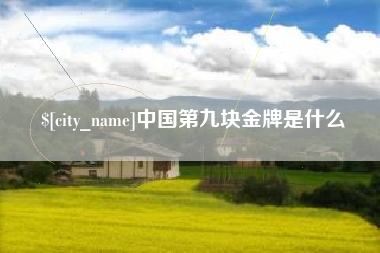 南安中国第九块金牌是什么