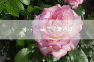 南安王子豪百科