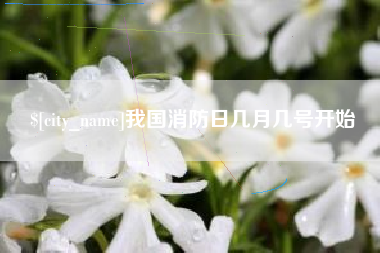 南安我国消防日几月几号开始