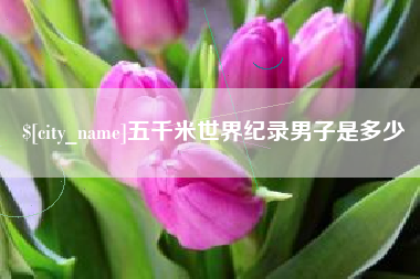 南安五千米世界纪录男子是多少