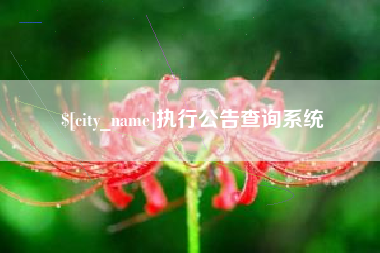 南安执行公告查询系统