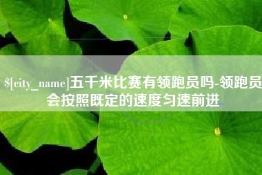 南安五千米比赛有领跑员吗-领跑员会按照既定的速度匀速前进