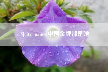 南安中国金牌都是啥
