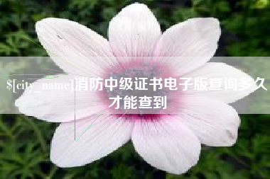 南安消防中级证书电子版查询多久才能查到