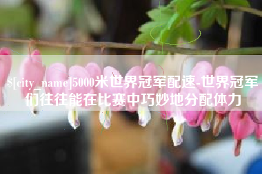 南安5000米世界冠军配速-世界冠军们往往能在比赛中巧妙地分配体力