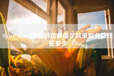 南安中国消防救援学院录取分数线是多少