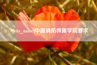 南安中国消防救援学院要求