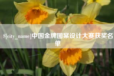 南安中国金牌图案设计大赛获奖名单