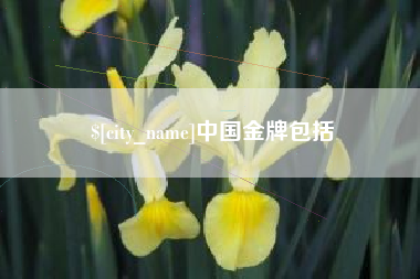 南安中国金牌包括