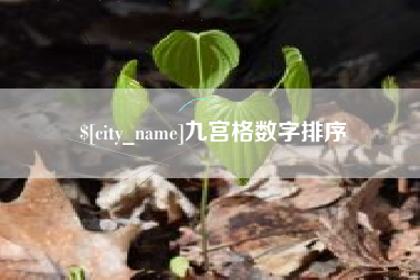 南安九宫格数字排序