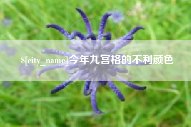 南安今年九宫格的不利颜色