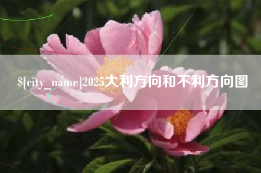 南安2025大利方向和不利方向图