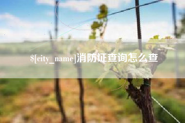 南安消防证查询怎么查