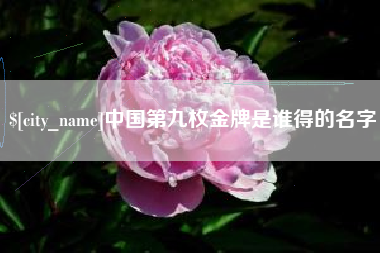 南安中国第九枚金牌是谁得的名字