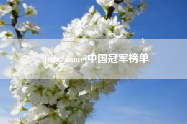 南安中国冠军榜单