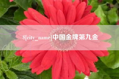 南安中国金牌第九金